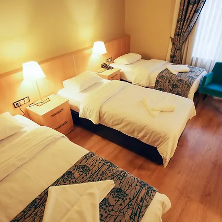 Hotel Artika