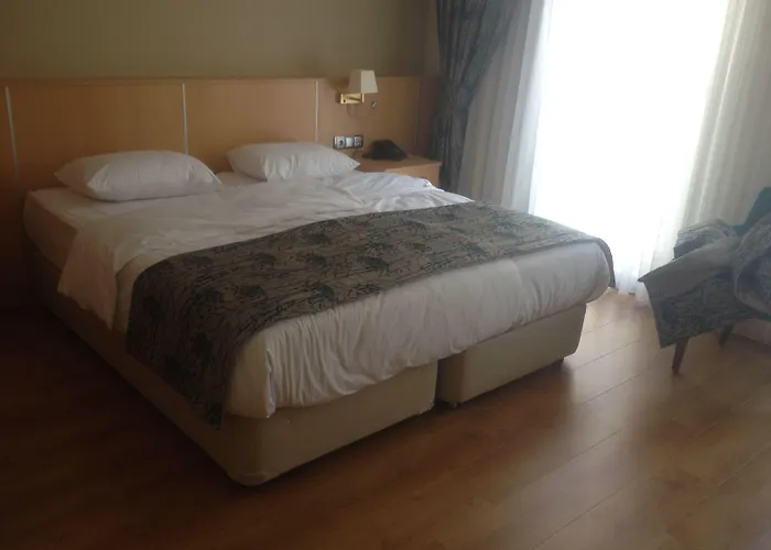 Artika Стамбул